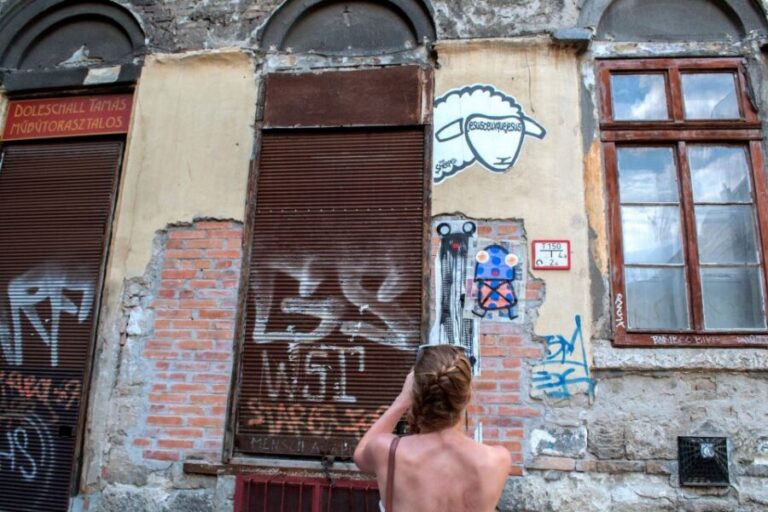 Alternative Budapest Walking Tour - Street art culture: why the murals matter more than the photos