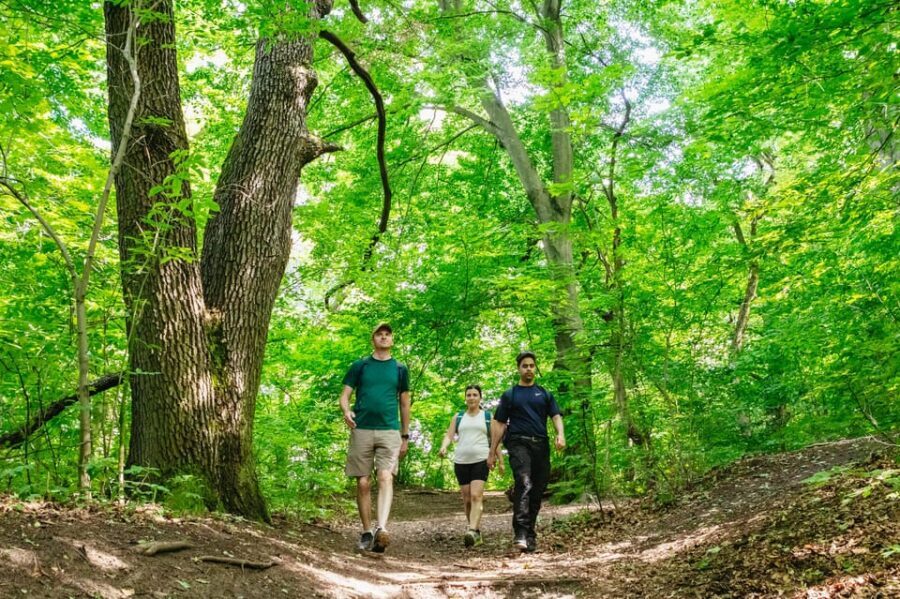 Budapest: Buda Hills Guided Hiking Tour with Optional Lunch - Key Highlights You’ll Feel Fast
