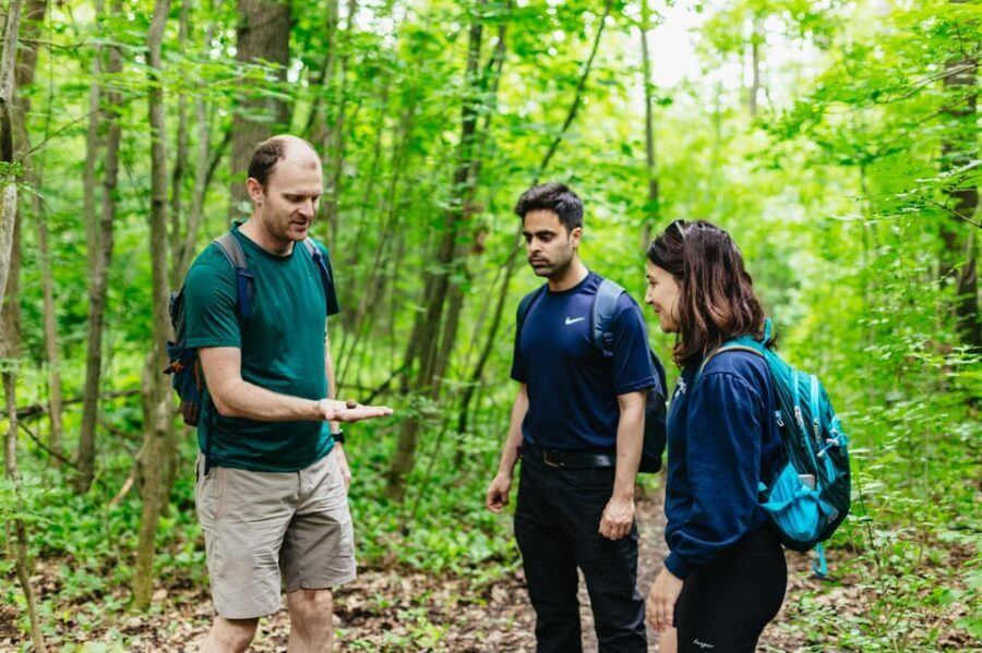 Budapest: Buda Hills Guided Hiking Tour with Optional Lunch - Why the Buda Hills Feel Like a Reset From Budapest