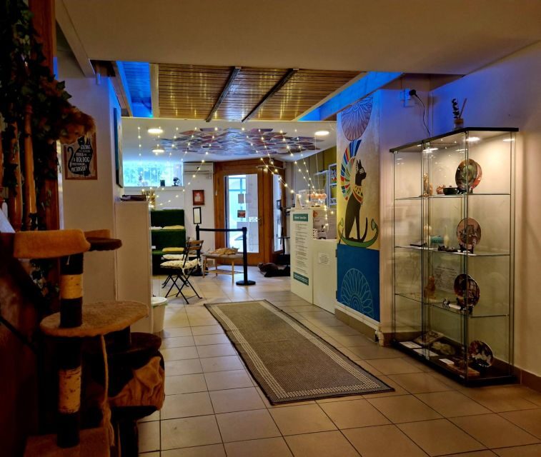 Budapest: Cat Museum Budapest Entry Ticket - Who Should Book This (and Who Might Skip It)
