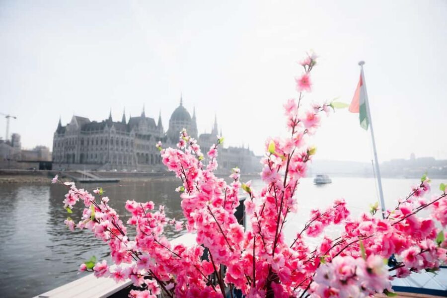 Budapest: Daytime Hop-on Hop-off Cruise with Welcome Drink - Who should book this Mahart Cruises hop-on hop-off Danube cruise