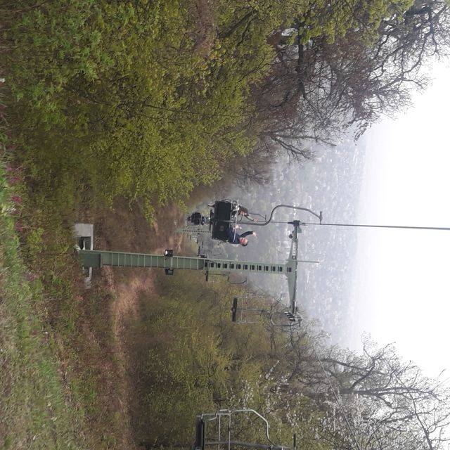 Budapest: Elisabeth Tower Visit by Chairlift & Transport - The best time to go: when fog, sun, and timing affect your photos
