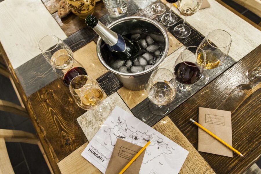 Budapest: Essentials of Hungarian Wine Tasting Class - Budapest wine in an old cellar: what to expect in two hours