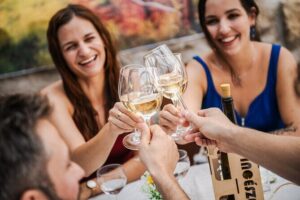 Budapest Half-Day Wine Tour: 3 Family Wineries, Meal & Pálinka - From Fővám Square to the first winery: timing and comfort