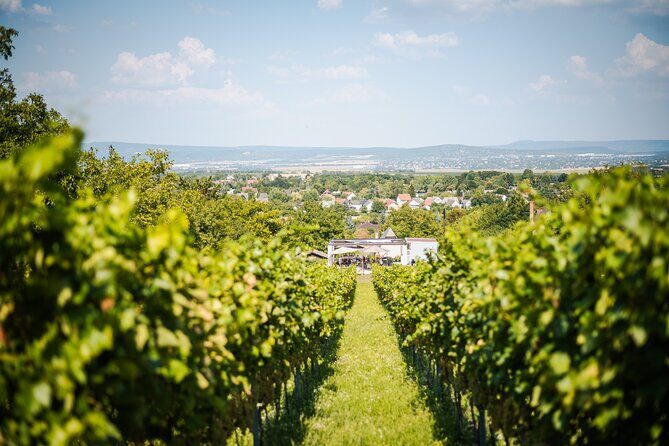 Budapest Half-Day Wine Tour: 3 Family Wineries, Meal & Pálinka - Etyek: the region you will notice once you taste