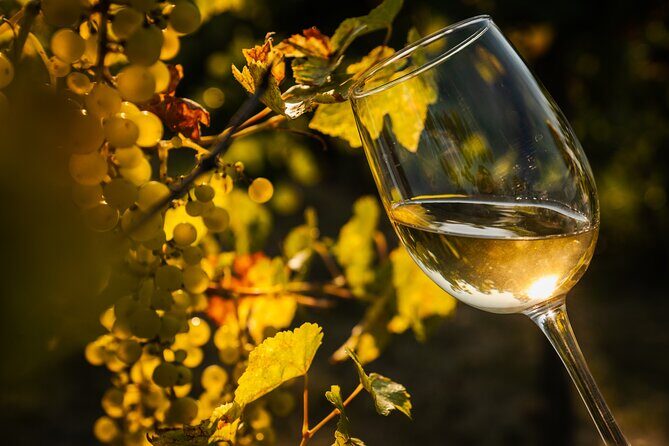 Budapest Half-Day Wine Tour: 3 Family Wineries, Meal & Pálinka - Snacks and a traditional Hungarian meal: where the value shows up