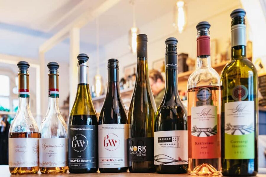 Budapest: Hungarian Wine Tasting with 8 Wines and Tapas - How the guide turns wine tasting into real learning
