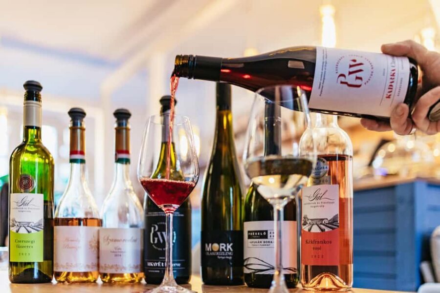 Budapest: Hungarian Wine Tasting with 8 Wines and Tapas - Who should book this (and who should skip it)