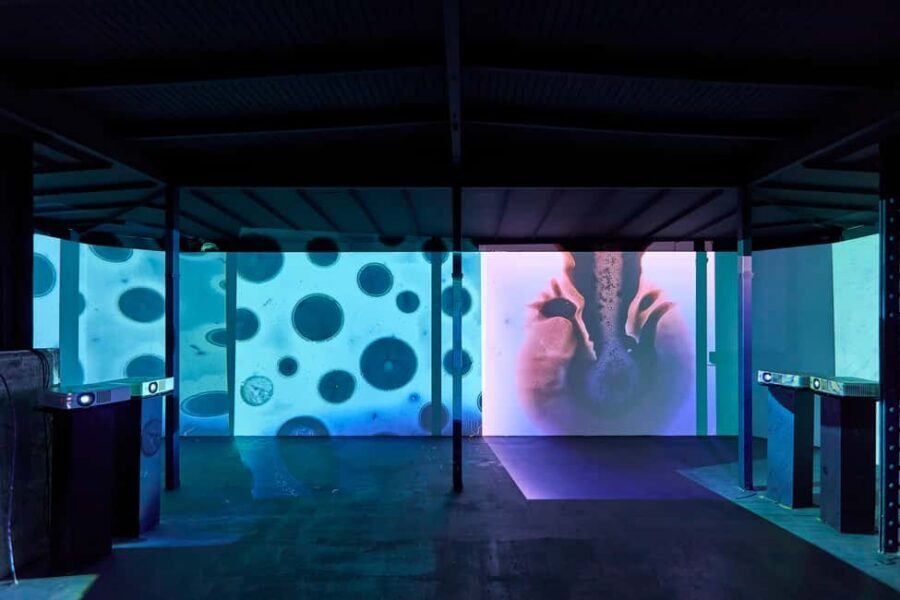 Budapest: Light Art Museum Skip-the-Line Entry Ticket - Artists you can recognize: Moholy-Nagy and Vasarely cues