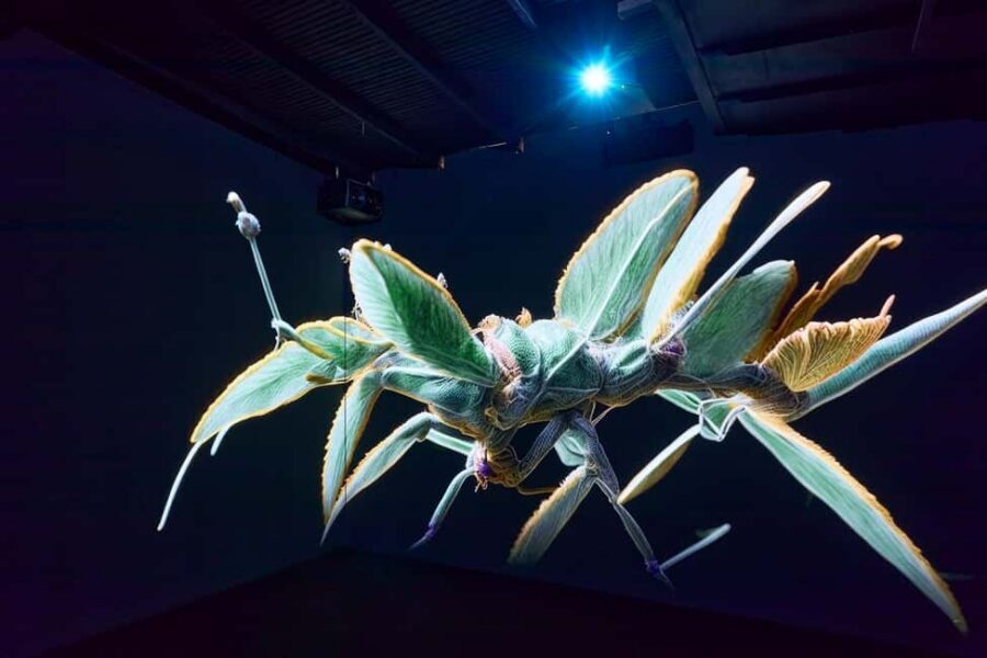 Budapest: Light Art Museum Skip-the-Line Entry Ticket - Families, teens, and the over-18 section you should know about