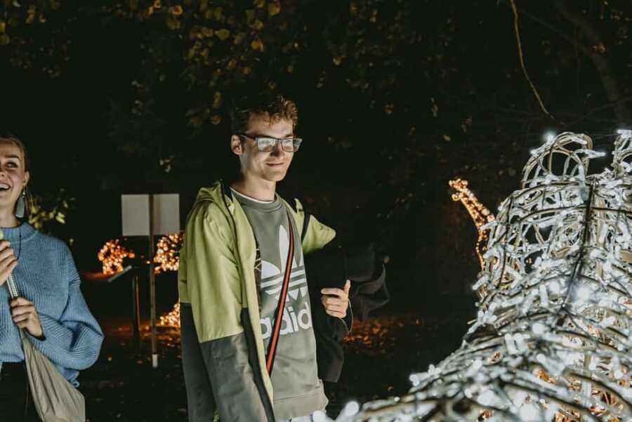 Budapest: Lumina Light Park Wonderworld Entry Ticket - Food, breaks, and pacing the evening like a pro