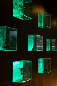 Budapest: Mika Tivadar Secret Museum Entry Ticket - What the museum actually shows (and why it feels like time travel)