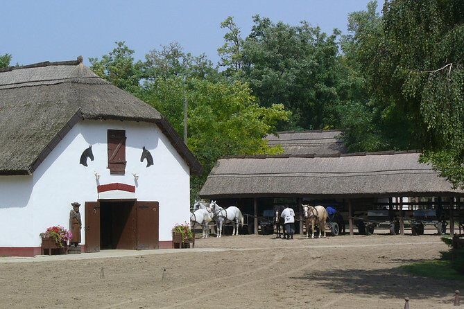 Budapest Puszta Day Trip to Kecskemet with Horse Show & Lunch - The Horse Carriage Ride: More Than a Photo Stop
