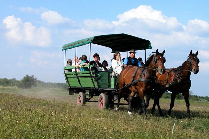 Budapest Puszta Day Trip to Kecskemet with Horse Show & Lunch - Timing and Waiting: What to Expect From an 8-Hour Countryside Schedule
