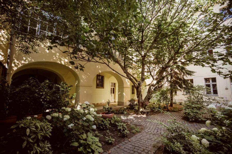 Budapest: Secrets of the Old Town of Buda Guided Walk - Getting Your Bearings: Meeting at Saint Stephen, Turquoise Umbrella Included