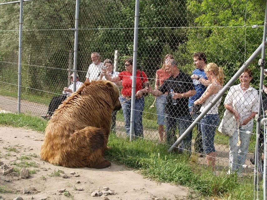 Budapest: Transport & Guided Tour of Bear and Wolf Sanctuary - From Batthyány tér to Veresegyház: the 45 km ride you’ll enjoy