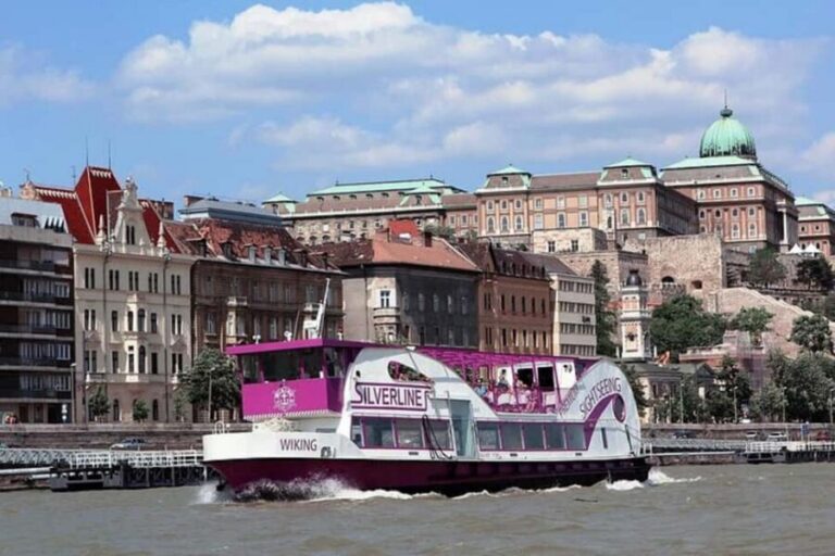Budapest: Unlimited Drink Cruise - Unlimited Drinks: What You Get and How to Pace It