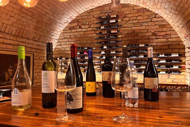 Budapest Wine Tasting and Heritage Experience at Goldcentral - Key highlights you’ll actually care about
