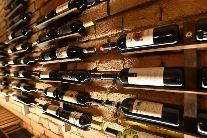 Budapest Wine Tasting and Heritage Experience at Goldcentral - Your host and the private museum tour (Igor’s kind of attention)