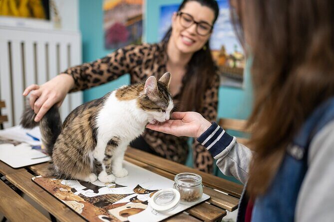 Cat Museum Budapest Entry Ticket - Petting, treats, and cat care rules that make the visit better