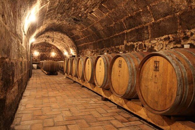 Countryside Half-day Gastro-Wine Tour from Budapest Meal & pickup - Key highlights at a glance