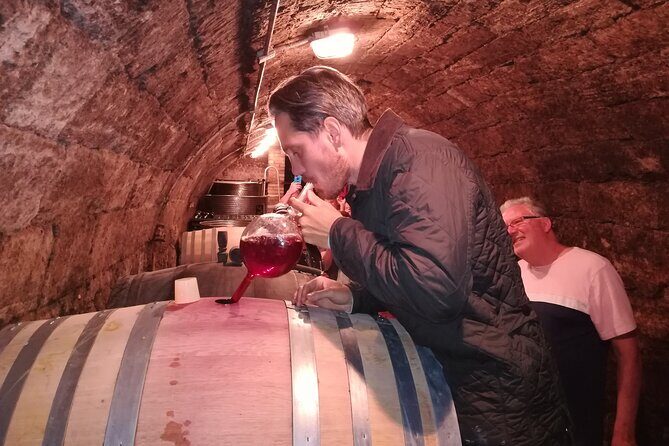 Countryside Half-day Gastro-Wine Tour from Budapest Meal & pickup - Price and value: what $99.16 buys you for five hours