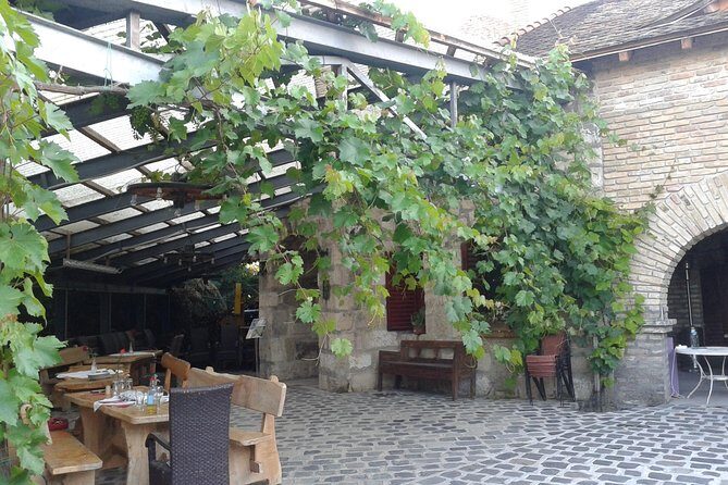 Countryside Half-day Gastro-Wine Tour from Budapest Meal & pickup - Which option should you pick: lunch, dinner, or gastro-bites?