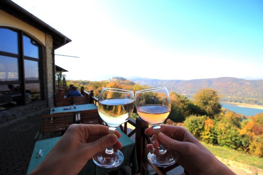 From Budapest: Danube Bend & Szentendre Tour with Lunch - Danube Bend and Szentendre: what this day trip really delivers