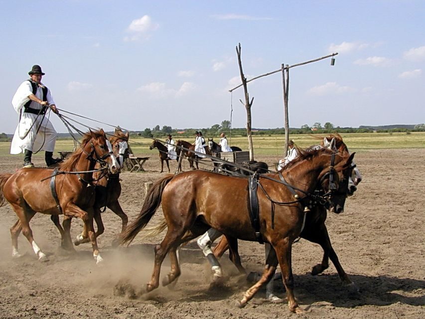 From Budapest: Full-Day Puszta Tour with Lunch and Show - Who This Tour Fits Best (and Who Might Want a Different Day)