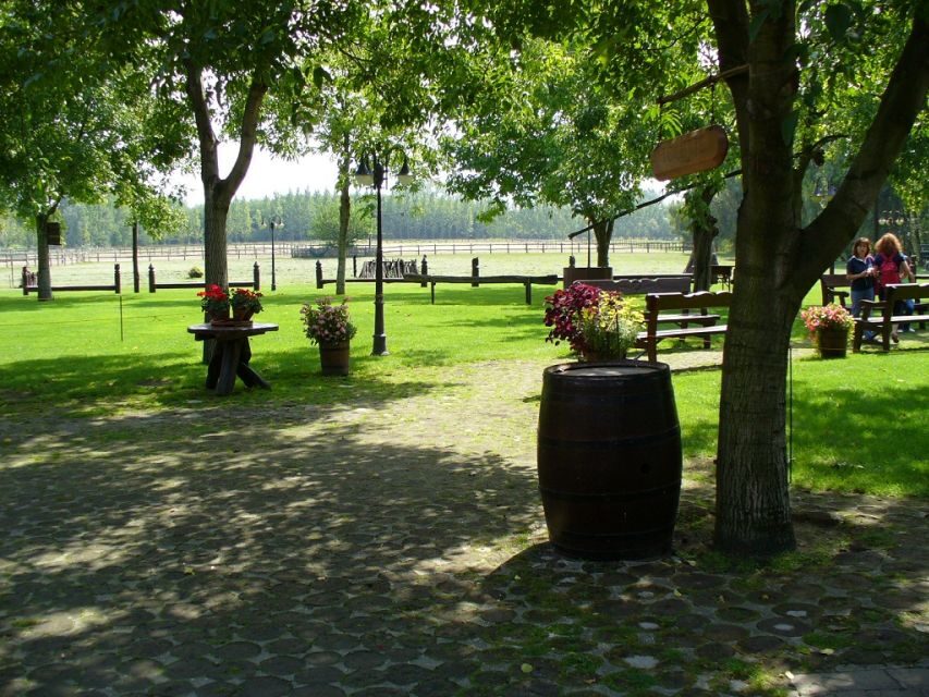 From Budapest: Full-Day Puszta Tour with Lunch and Show - Lajosmizse Horse Ranch Arrival: Pálinka, Stables, and a Warm Welcome