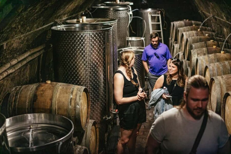 From Budapest: Half-Day Countryside Wine Tour with Meal - Value for $96: when this half-day is a good deal