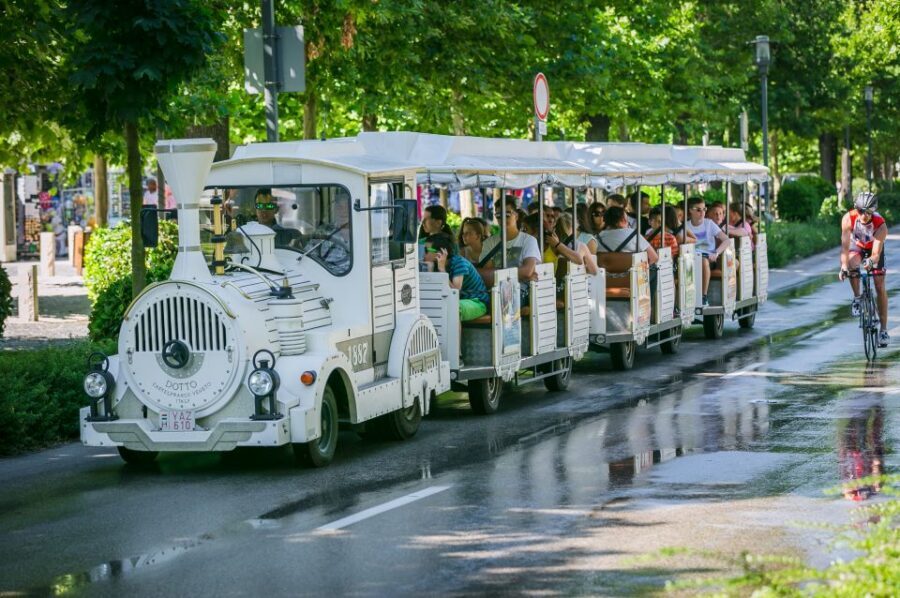 From Budapest: Lake Balaton Day Tour - How the schedule feels in real time: stops, gaps, and the one-day tradeoff