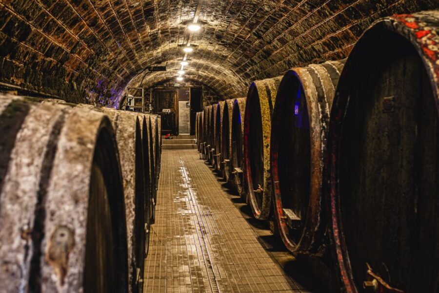 From Budapest: Mátra Hills Wine Tour - Price and value: is $341 worth it?