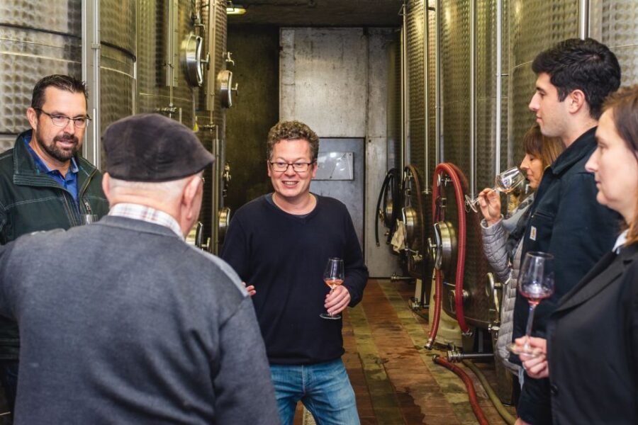 From Budapest: Mátra Hills Wine Tour - Who this Mátra Hills wine tour fits best
