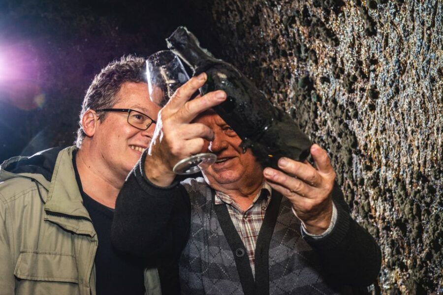 From Budapest: Mátra Hills Wine Tour - Should you book it?