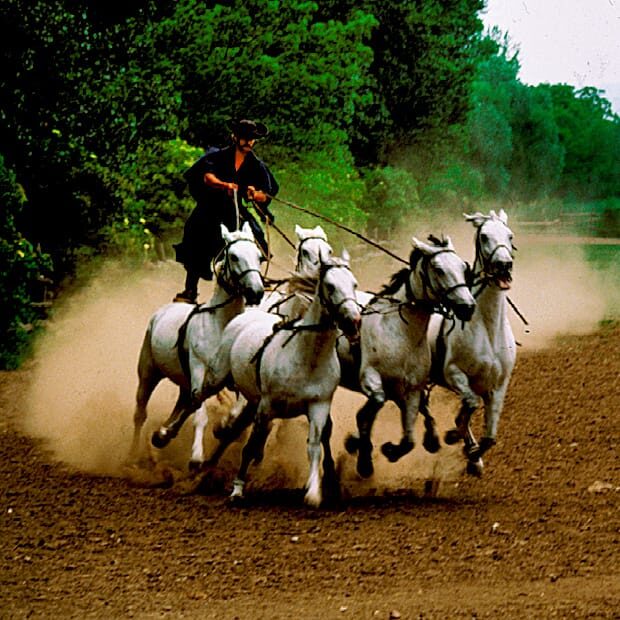 From Budapest: Puszta Horse Show and Countryside Visit - Budapest Outward Bound: Why the Puszta Day Trip Works