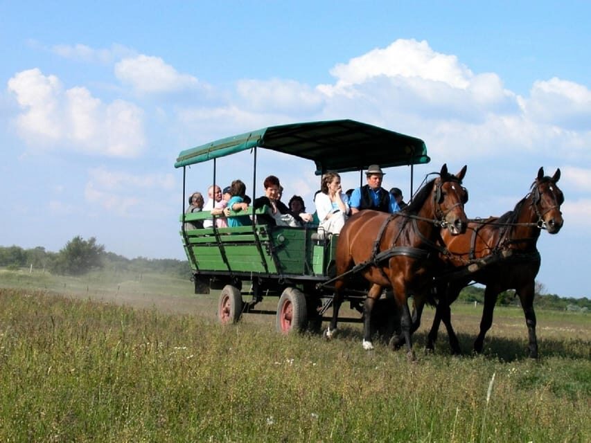 From Budapest: Puszta Horse Show and Countryside Visit - Horse-Drawn Carriage Ride and Scenic Drive: Slow Views, Fast Timing