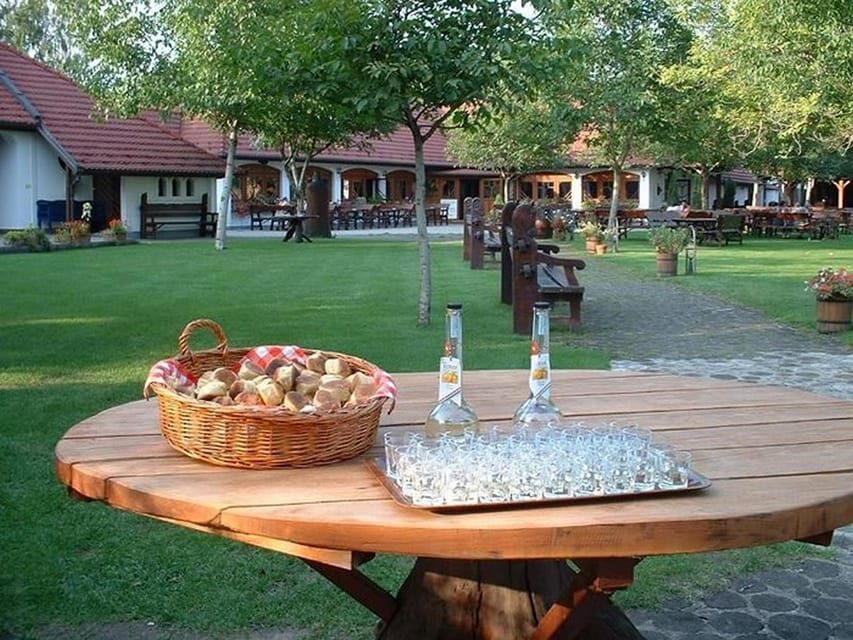 From Budapest: Puszta Horse Show and Countryside Visit - Price and Logistics for an 8-Hour Hungarian Plains Escape