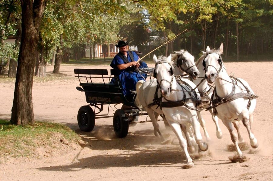 From Budapest: Puszta Horse Show and Countryside Visit - Should You Book This Puszta Horse Show Tour?