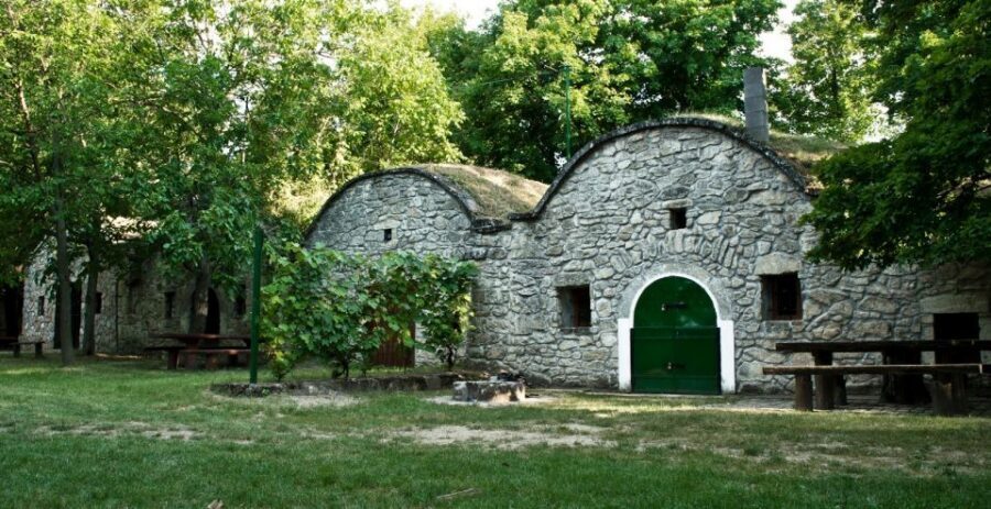 From Budpaest: Páty Wine Village Tour with Tastings - Meeting winemakers face-to-face: the best part isn’t the glass