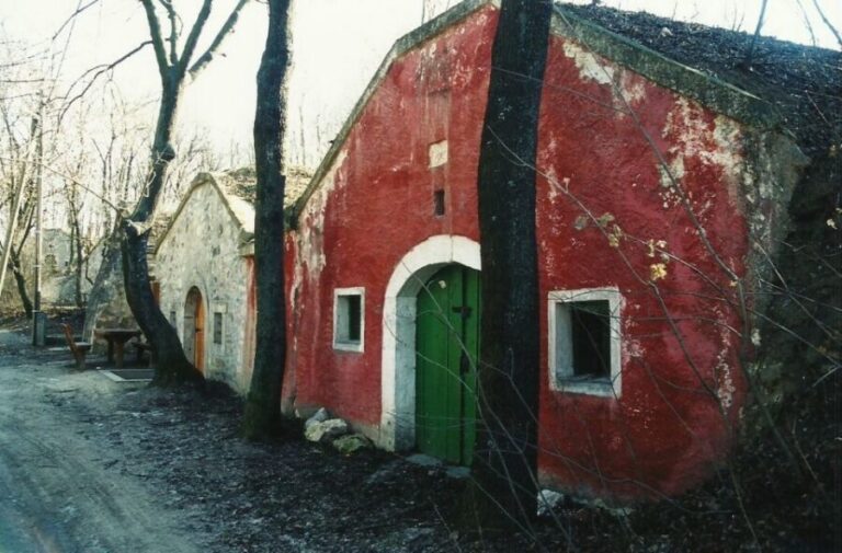 From Budpaest: Páty Wine Village Tour with Tastings - Meeting point and the small-group vibe you can actually feel