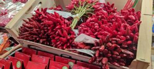 German tour: Central Market Hall of Budapest with tastings - Where to meet at Csarnok tér: find the back entrance fast