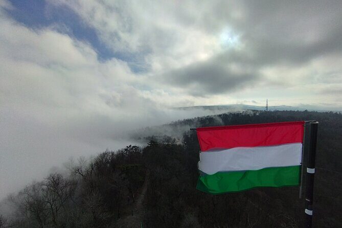 Hiking in Budapest - Forest nature talk: trees, flowers, mushrooms, and bird sounds