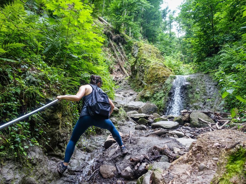 One Day Wonder Hike - The Essence of the Danube Bend - Vadallo Stones Ridge: Volcanic Rocks and Panoramic Payoff