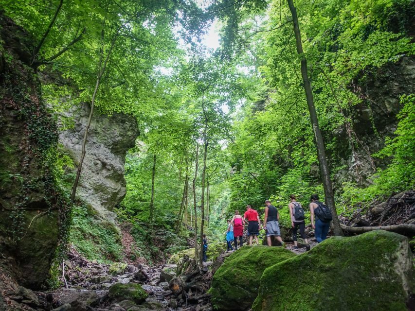 One Day Wonder Hike - The Essence of the Danube Bend - Visegrád Castle Tickets: Pairing Nature With Fortified Views