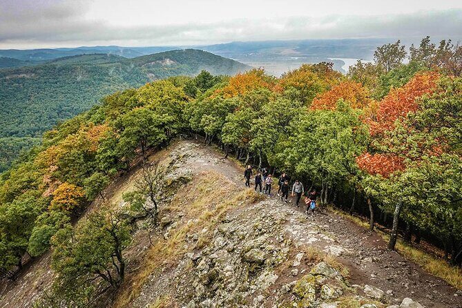 One Day Wonder Hiking Trip - Guides: Facts, Photos, and Quiet Moments When You Need Them