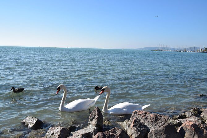 Private Lake Balaton Experience with an unforgettable Wine Tasting - Tagore Promenade: walk it for the views and the rhythm