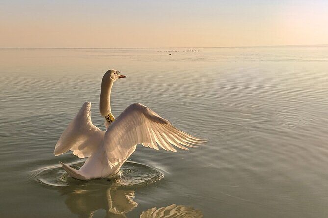 Private tour from Budapest to a top hidden treasure region of Europe: Lake Balaton - Your day on Lake Balaton: stop-by-stop