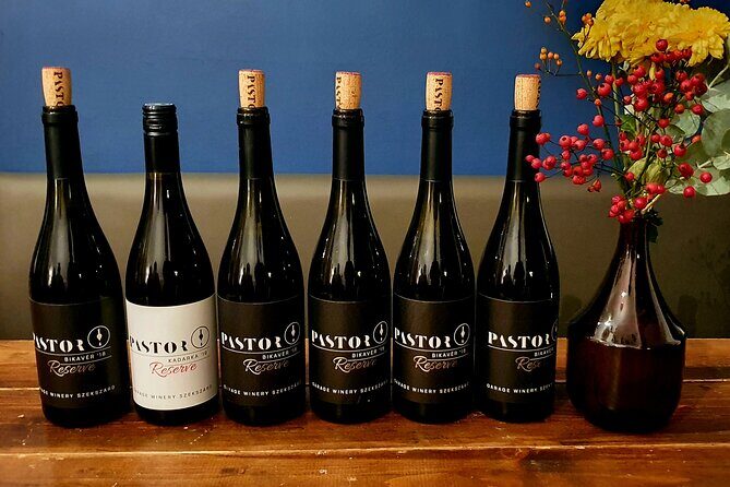 Private Wine Tasting in Budapest - Price and value: $60 for a private, wine-led 2 hours