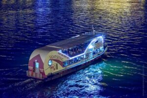 Sightseeing Cruise on the Danube with Audio Guide in Budapest - Before You Go: Audio App, Earphones, and What to Pack